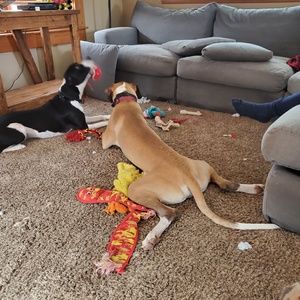 Meet your Posher, Ruby